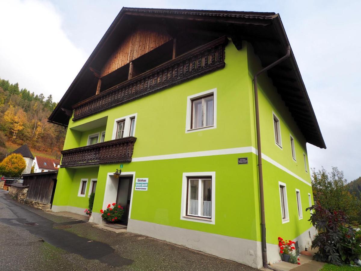 Gasthof Zum Gruenen Specht Oberzeiring المظهر الخارجي الصورة